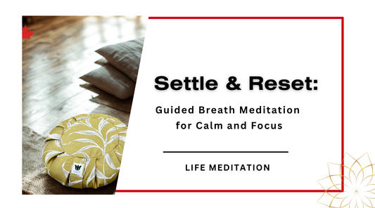 Settle & Reset — An 8 Minute Habit-Builder Meditation