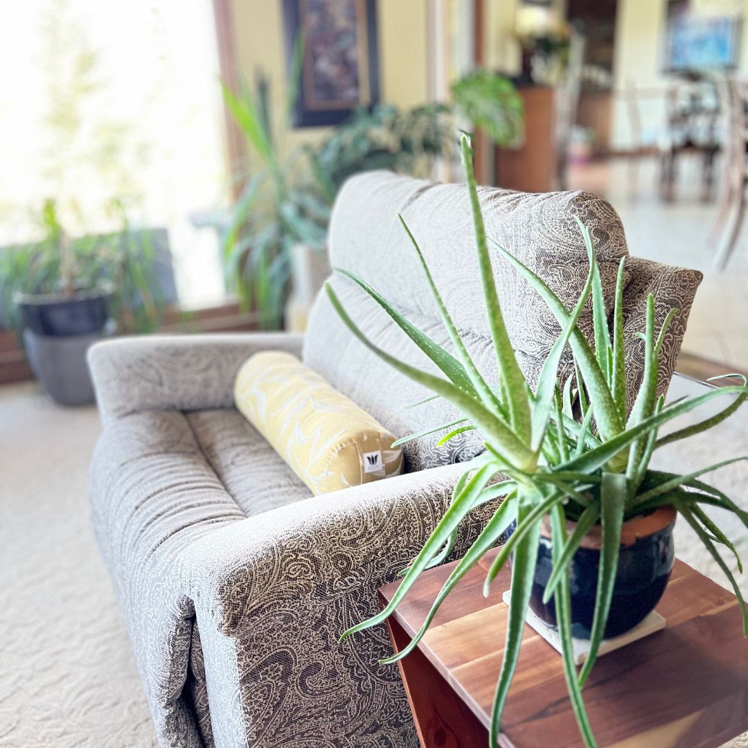 Gray sofa with patterned cushions and a potted plant on a wooden table in a living room.